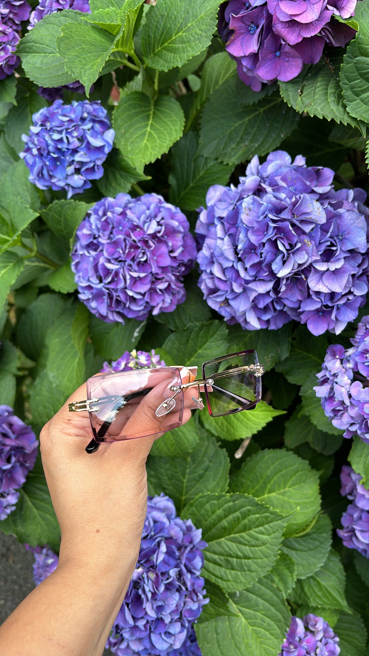 Sunglasses in lavender